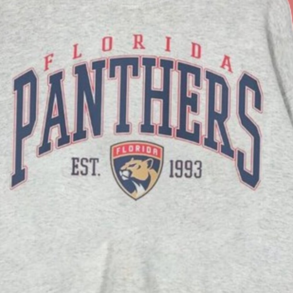 Vtg Florida Panthers Sweatshirt, NHL Panthers Shirt tee, Hockey Sweatshirt - Picture 3 of 4